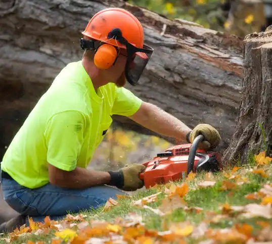 tree services Utica